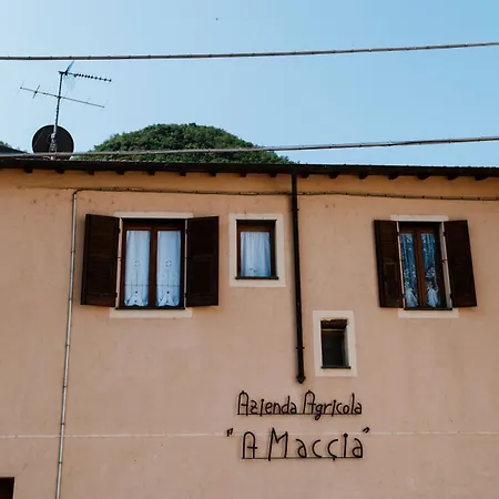 Amaccia Appartement Ranzo-Borgo
